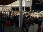 GMA. XXVIII Feria de Minerales y Fósiles. La Unión
