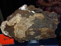 GMA. XIX Feria de Minerales y Fósiles. La Unión