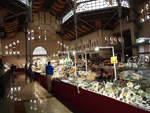 GMA. XIX Feria de Minerales y Fósiles. La Unión