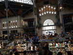 GMA. XIX Feria de Minerales y Fósiles. La Unión