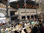 GMA. XIX Feria de Minerales y Fósiles. La Unión