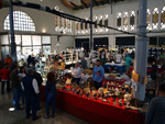 GMA. XIX Feria de Minerales y Fósiles. La Unión