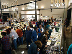 GMA. XIX Feria de Minerales y Fósiles. La Unión
