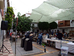 FEM. XIX Mesa de Minerales de Monteluz