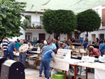 FEM. XIX Mesa de Minerales de Monteluz