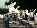 FEM. XIX Mesa de Minerales de Monteluz