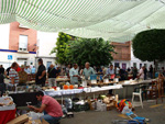 FEM. XIX Mesa de Minerales de Monteluz