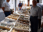FEM. XIX Mesa de Minerales de Monteluz