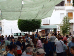 FEM. XIX Mesa de Minerales de Monteluz