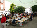 FEM. XIX Mesa de Minerales de Monteluz