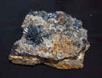 FEM. XIX Mesa de Minerales de Monteluz