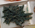 FEM. XIX Mesa de Minerales de Monteluz