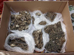 FEM. XIX Mesa de Minerales de Monteluz