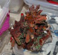 FEM. XIX Mesa de Minerales de Monteluz