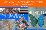 FEM. XIX Mesa de Minerales de Monteluz