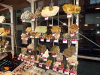 GMA. 1ª Feria de Minerales de Elche