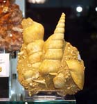 GMA. 1ª Feria de Minerales de Elche