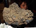 GMA. XX Feria de Minerales y Fósiles. La Unión