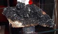 GMA. XX Feria de Minerales y Fósiles. La Unión