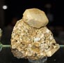 GMA. XX Feria de Minerales y Fósiles. La Unión