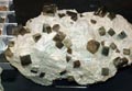 GMA. XX Feria de Minerales y Fósiles. La Unión