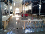 GMA. XX Feria de Minerales y Fósiles. La Unión