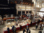GMA. XX Feria de Minerales y Fósiles. La Unión