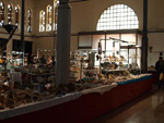 GMA. XX Feria de Minerales y Fósiles. La Unión
