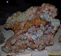 GMA. XX Feria de Minerales y Fósiles. La Unión