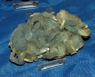 GMA. XXI Feria de Minerales y Fósiles de Monteluz