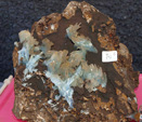 GMA. XXI Feria de Minerales y Fósiles de Monteluz