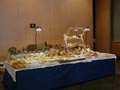 GMA. IV Fira de Minerals, Fossils y Gemmes