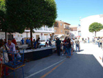 GMA. XXXIII Mesa de Minerales de Monteluz. Beas de Granada