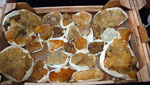 GMA. XXXIII Mesa de Minerales de Monteluz. Beas de Granada