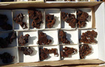 GMA. XXXIII Mesa de Minerales de Monteluz. Beas de Granada