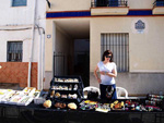GMA. XXXIII Mesa de Minerales de Monteluz. Beas de Granada