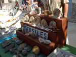 GMA. XXXIII Mesa de Minerales de Monteluz. Beas de Granada