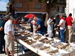 GMA. XXXIII Mesa de Minerales de Monteluz. Beas de Granada