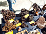 GMA. XXXIII Mesa de Minerales de Monteluz. Beas de Granada
