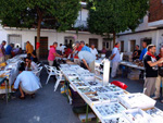 GMA. XXXIII Mesa de Minerales de Monteluz. Beas de Granada