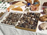 GMA. XXXIII Mesa de Minerales de Monteluz. Beas de Granada