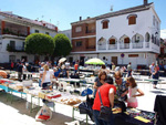 GMA. XXXIII Mesa de Minerales de Monteluz. Beas de Granada