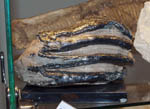 GMA. 2ª Feria de Minerales de Elche