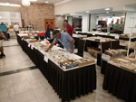 GMA. 7ª Mesa de Minerales de Extremadura. Santa Marta de los Barrios. Badajoz