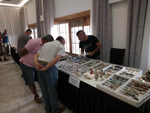 GMA. 7ª Mesa de Minerales de Extremadura. Santa Marta de los Barrios. Badajoz
