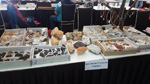 GMA. 7ª Mesa de Minerales de Extremadura. Santa Marta de los Barrios. Badajoz
