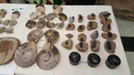 GMA. 7ª Mesa de Minerales de Extremadura. Santa Marta de los Barrios. Badajoz
