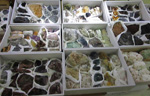 GMA. 7ª Mesa de Minerales de Extremadura. Santa Marta de los Barrios. Badajoz