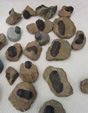 GMA. 7ª Mesa de Minerales de Extremadura. Santa Marta de los Barrios. Badajoz