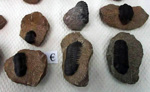 GMA. 7ª Mesa de Minerales de Extremadura. Santa Marta de los Barrios. Badajoz